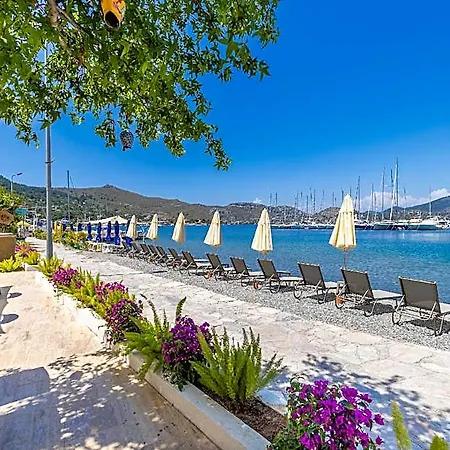 Base Selimiye 5*